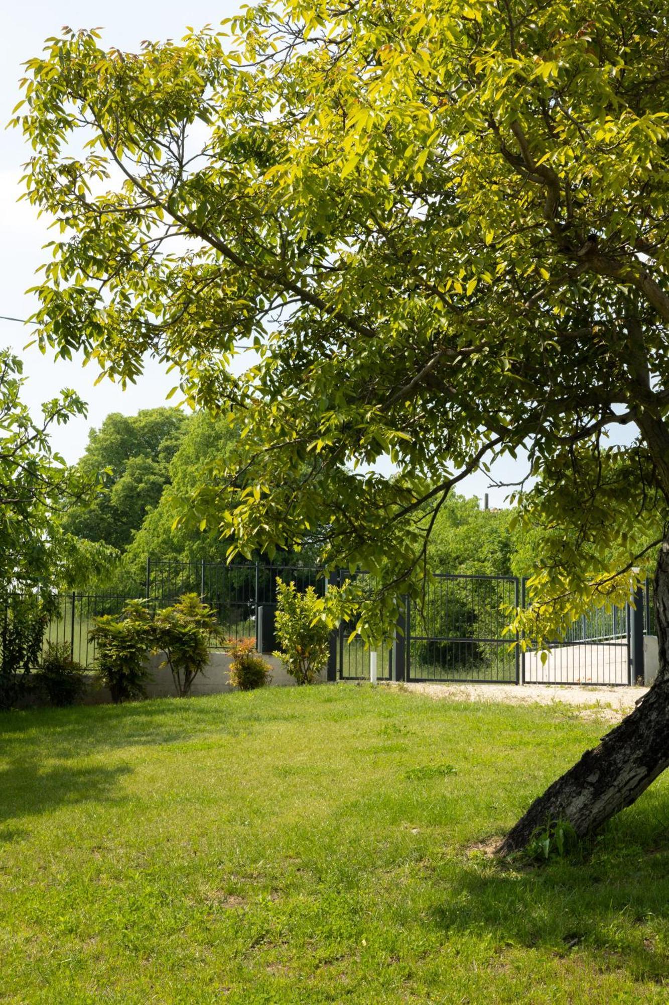 Bed And Breakfast Le Giale Castelnuovo del Garda Ngoại thất bức ảnh